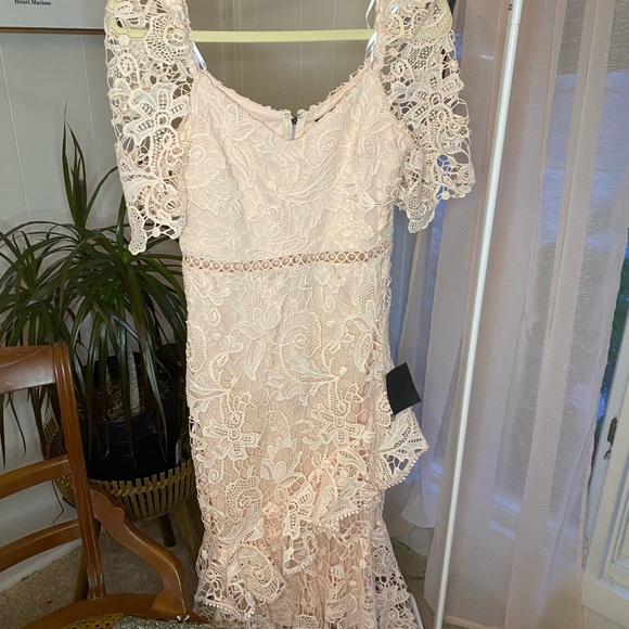 Blush Pink Lace Ruffled Wedding Guest Dress - Picture 10 of 11